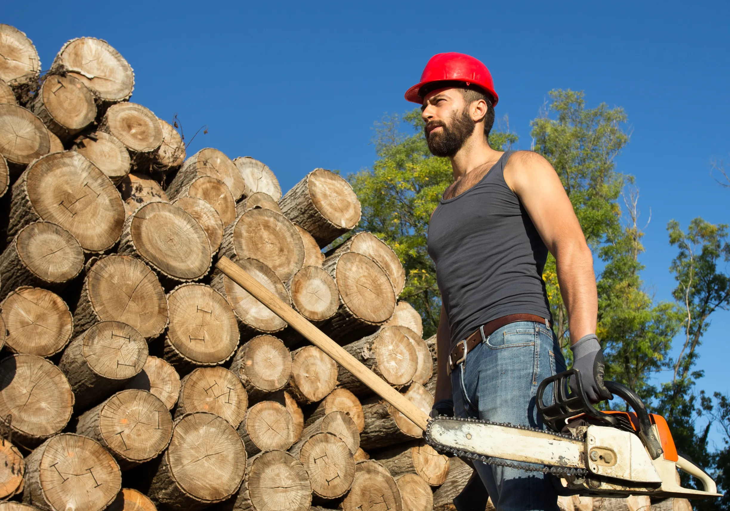 Stump Grinding Near Athens Michigan