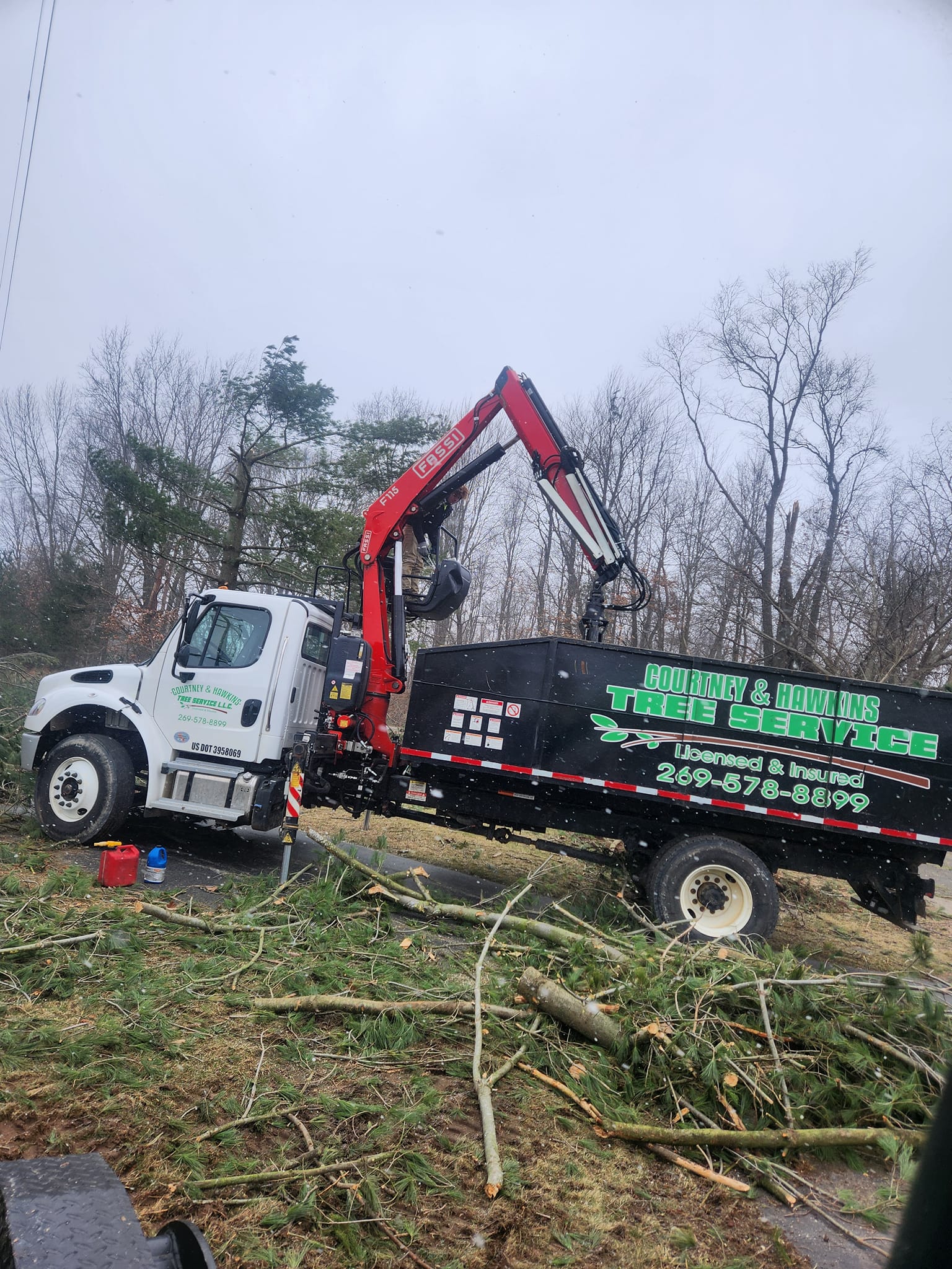 Stump Grinding Near Athens Michigan